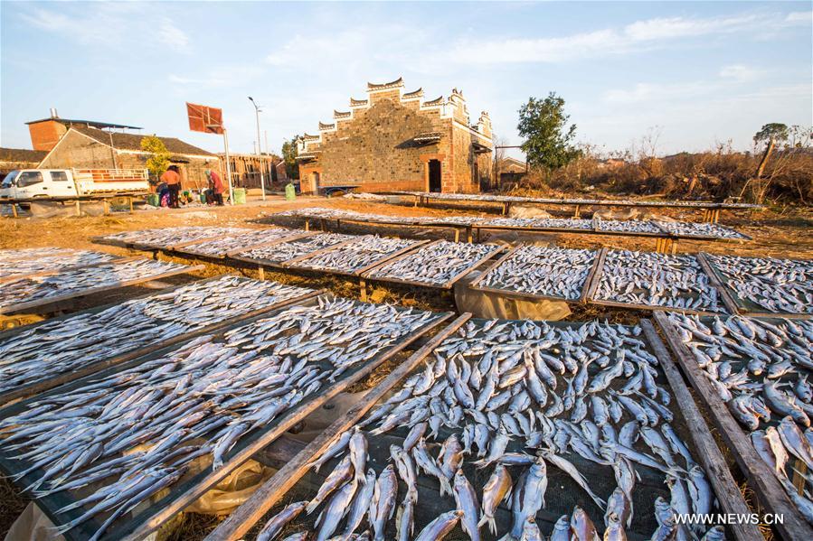 #CHINA-JIANGXI-FISH-DRYING (CN)