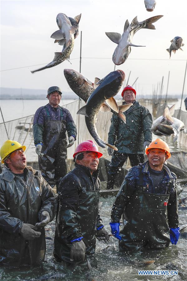 XINHUA PHOTO WEEKLY CHOICES