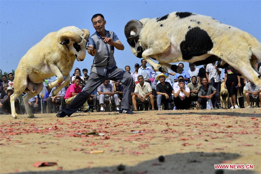 XINHUA-PICTURES OF THE YEAR 2017-CHINA 