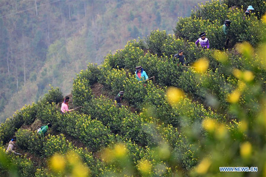 #CHINA-WINTER-DAHAN-SOLAR TERM-FARM WORK (CN)