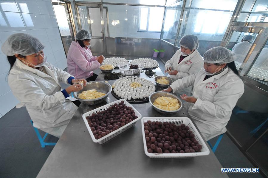 CHINA-JILIN-SIPING-COOPERATIVE (CN)