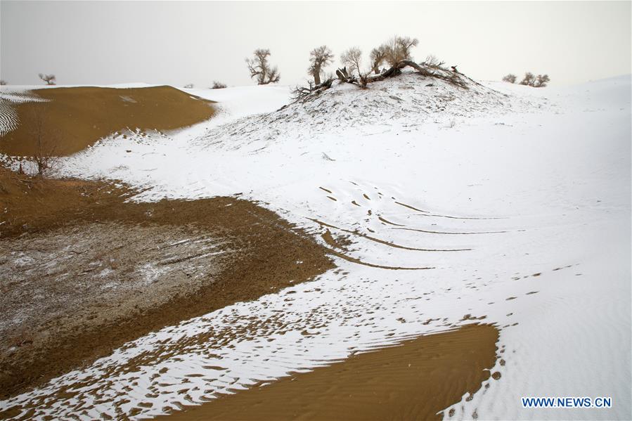 #CHINA-XINJIANG-TAKLIMAKAN DESERT-SCENERY (CN)