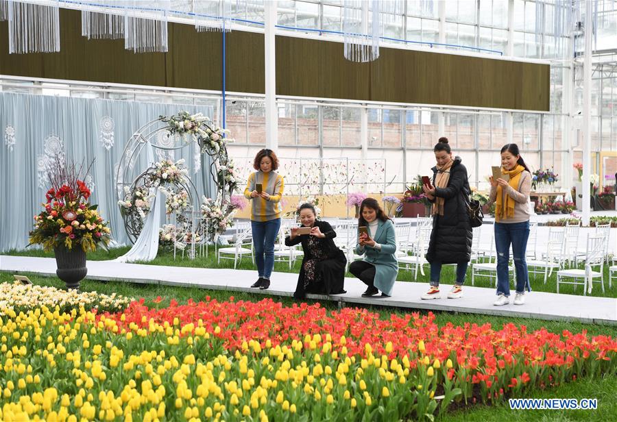 CHINA-CHONGQING-NETHERLANDS-FLOWER-SHOW (CN)