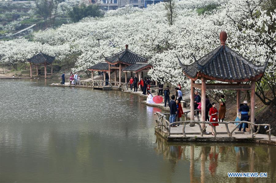 #CHINA-CHONGQING-PLUM BLOSSOMS (CN*)