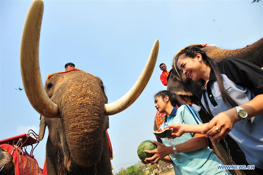 THAILAND-AYUTTHAYA-ELEPHANT DAY