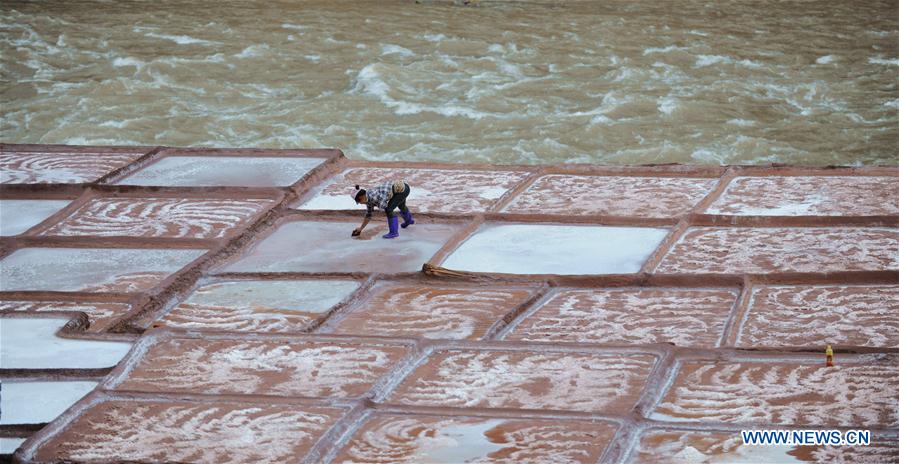 CHINA-TIBET-SALT HARVEST (CN)