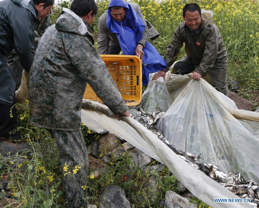 #CHINA-JIANGSU-FISHERY (CN)