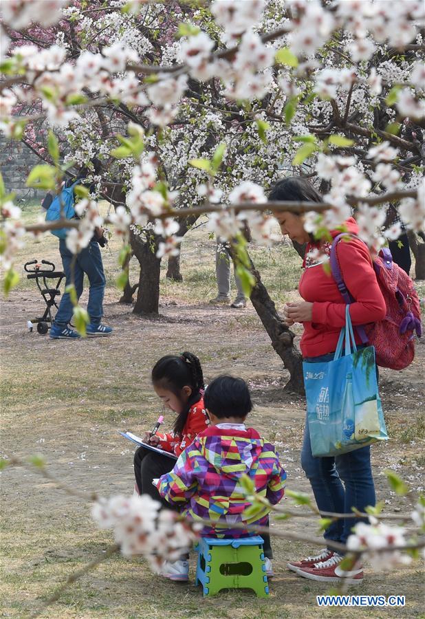 CHINA-BEIJING-SPRING-LEISURE (CN)