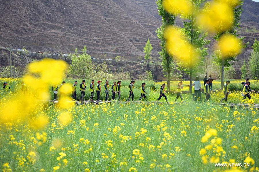 # CHINA-GANSU-SPRING-FLOWER(CN)