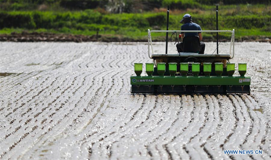 #CHINA-GUYU-FARM WORK(CN)