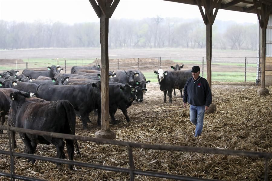 U.S.-ATLANTIC-FARM OWNER-CHINESE MARKET