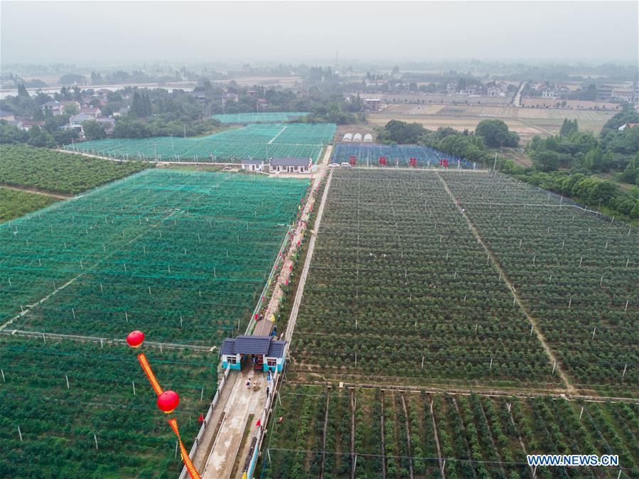 CHINA-ZHEJIANG-CHANGXING-COUNTRYSIDE TOURISM (CN)