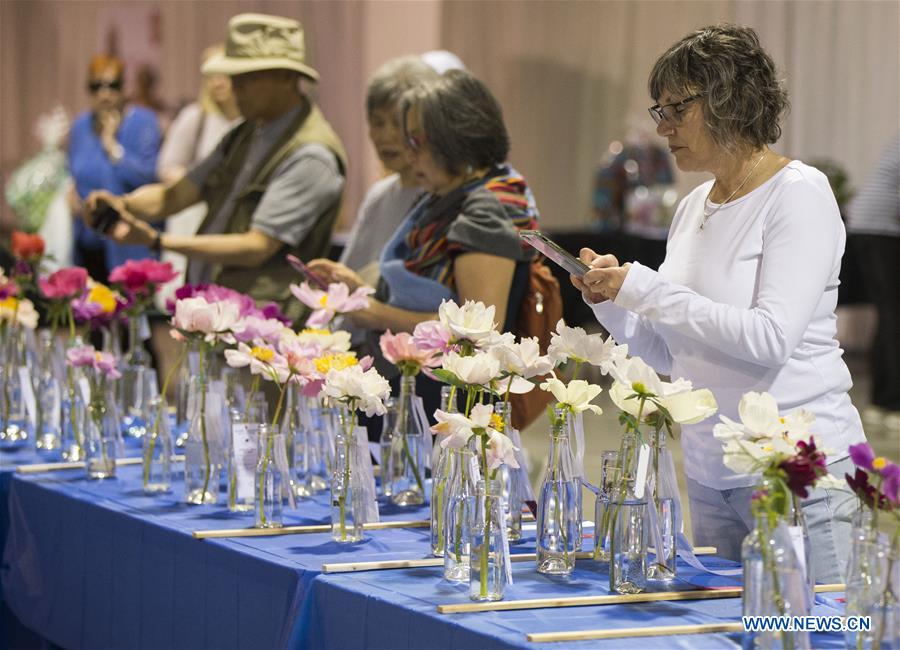 CANADA-OSHAWA-PEONY FESTIVAL