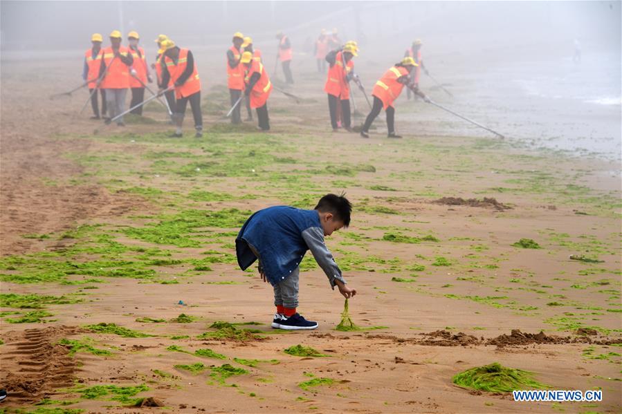 CHINA-QINGDAO-ENTEROMORPHA-CLEAN (CN)