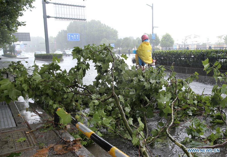 #CHINA-JIANGSU-LIANYUNGANG-TYPHOON AMPIL-RAIN(CN)