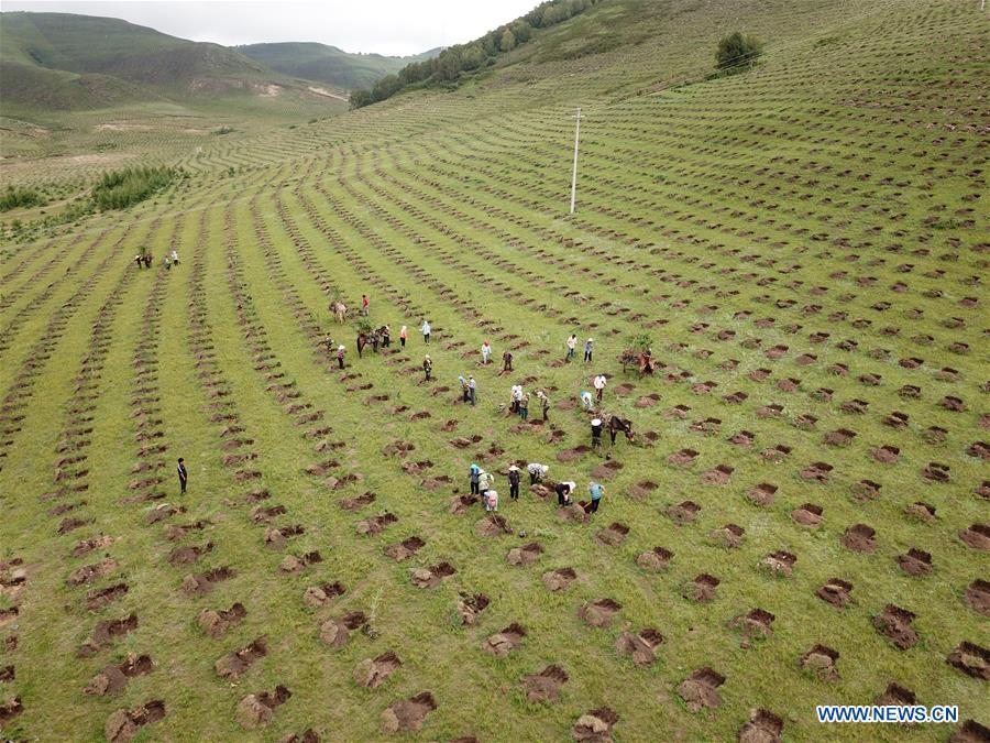 #CHINA-HEBEI-FENGNING-AFFORESTATION (CN)