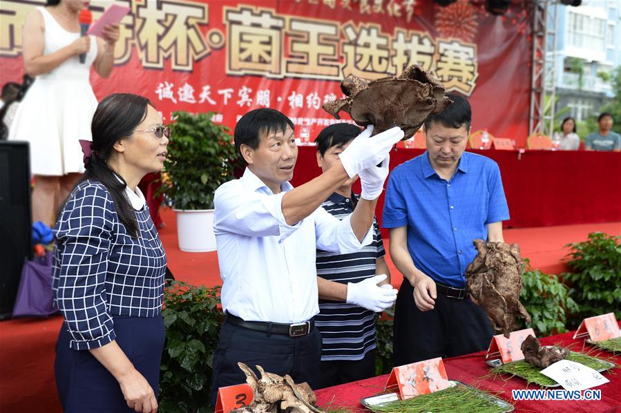 CHINA-YUNNAN-WILD MUSHROOM FESTIVAL (CN)