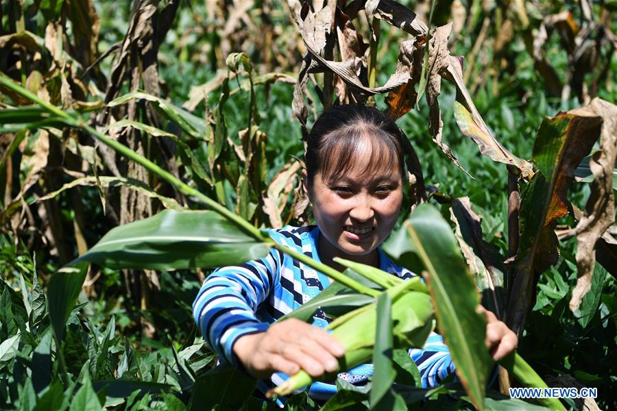 CHINA-CHONGQING-DISABLED FEMALE FARMER (CN)