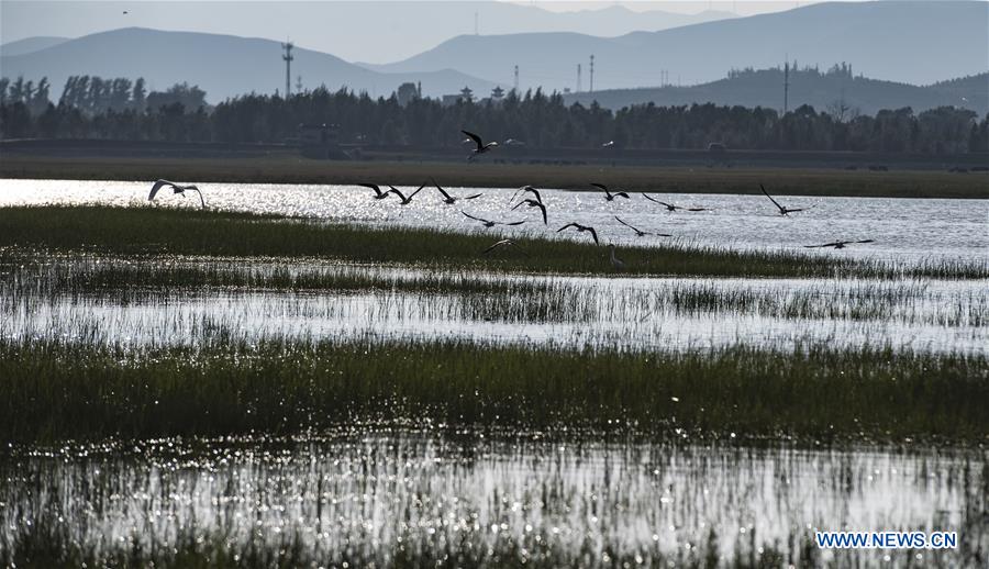 CHINA-SHANXI-HULIUHE WETLAND-SCENERY (CN)