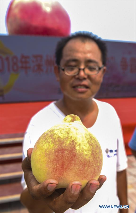 CHINA-HEBEI-SHENZHOU-PEACH CONTEST (CN)