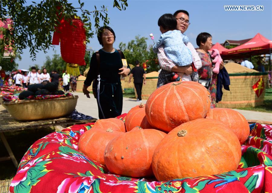 CHINA-HENAN-XINZHENG-HARVEST FESTIVAL (CN)