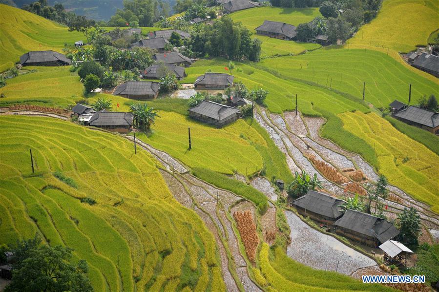 VIETNAM-HA GIANG-TERRACE-SCENERY