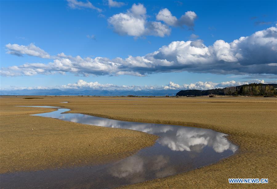 NEW ZEALAND-ABEL TASMAN NATIONAL PARK-DAILY LIFE