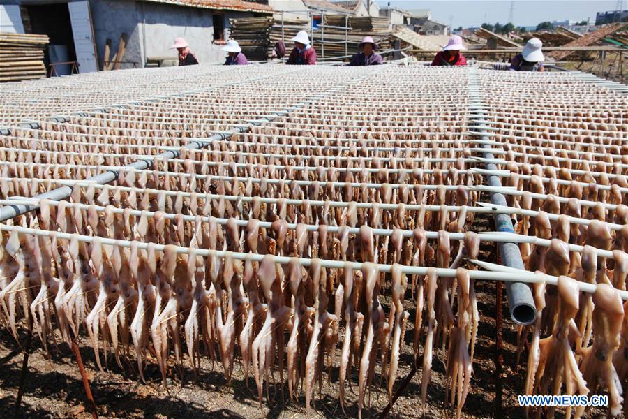 #CHINA-ZHEJIANG-TAIZHOU-FISH-DRYING (CN)