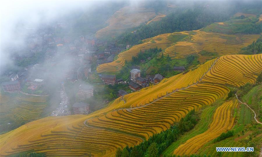 CHINA-GUANGXI-TERRACED FIELD-SCENERY (CN)