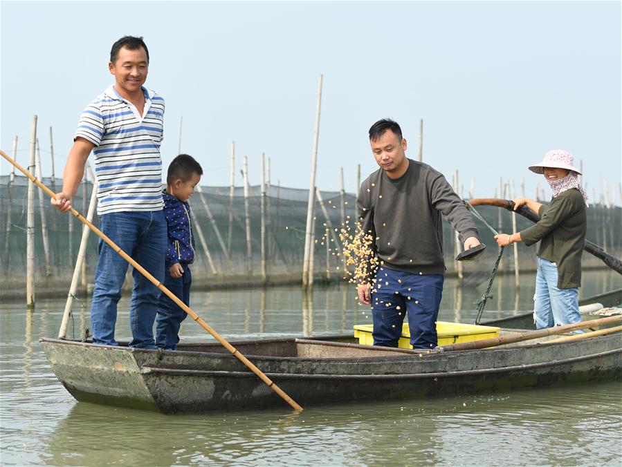 CHINA-ZHEJIANG-CRABS-HARVEST (CN)