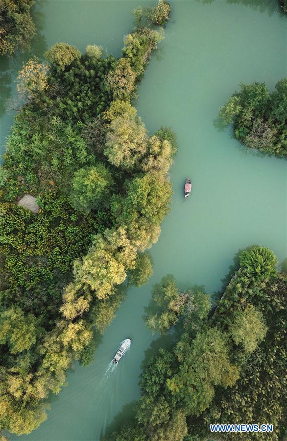 CHINA-HANGZHOU-XIXI WETLAND-AUTUMN SCENERY (CN)