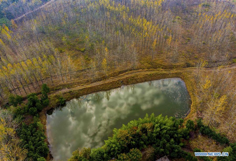 #CHINA-ANHUI-AUTUMN VIEWS (CN)