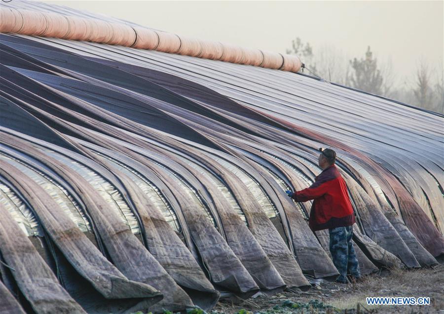 #CHINA-WINTER-FARM WORK (CN)