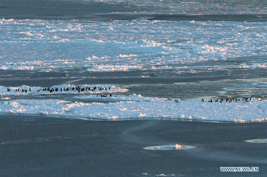 ANTARCTICA-PRYDZ BAY-XUELONG-EXPEDITION 