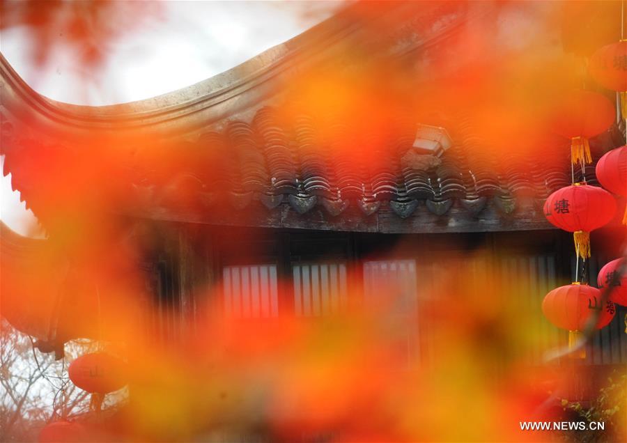 CHINA-SUZHOU-AUTUMN LEAVES (CN)