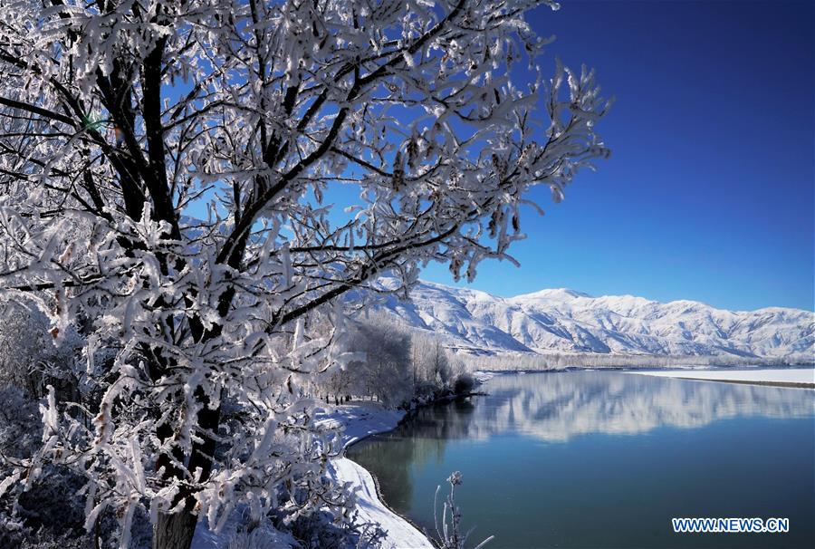 CHINA-TIBET-WINTER-RIME (CN)