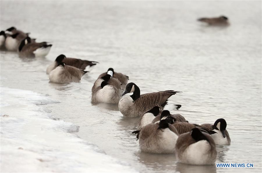 U.S.-CHICAGO-COLD WEATHER