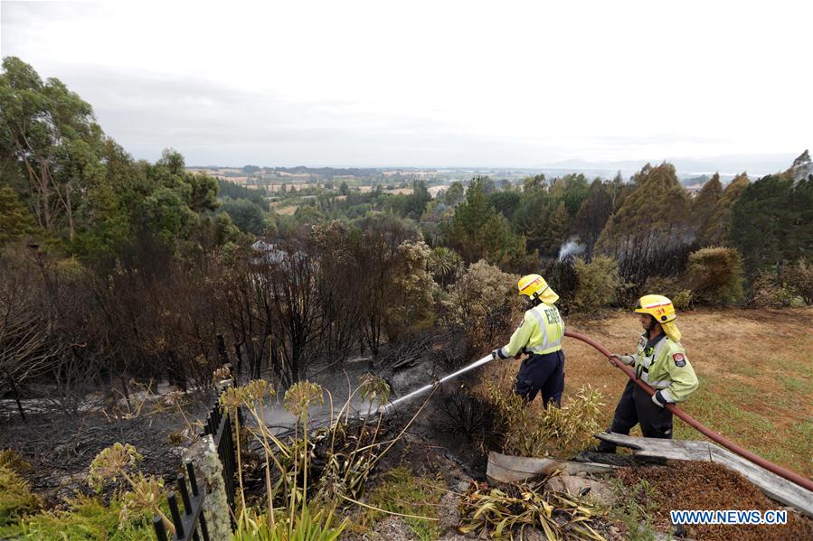 NEW ZEALAND-SOUTH ISLAND-BUSH FIRE