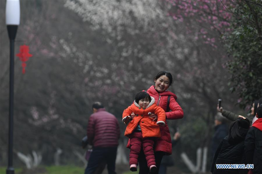 CHINA-HEFEI-PLUM BLOSSOM (CN)