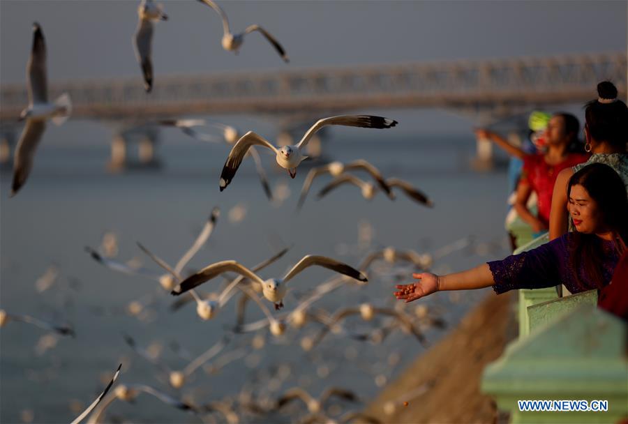 MYANMAR-MAWLAMYINE-GULLS-SUNSET