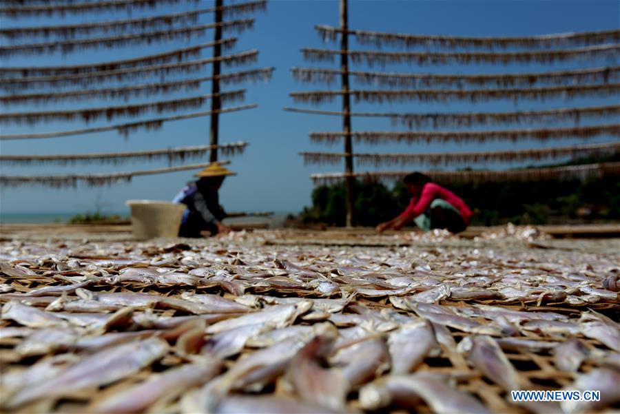 MYANMAR-THANBYUZAYAT-DRYING FISH