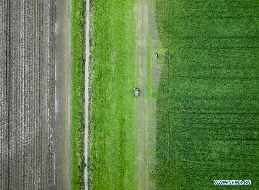 U.S.-LOUISIANA-FARMER-BUSINESS