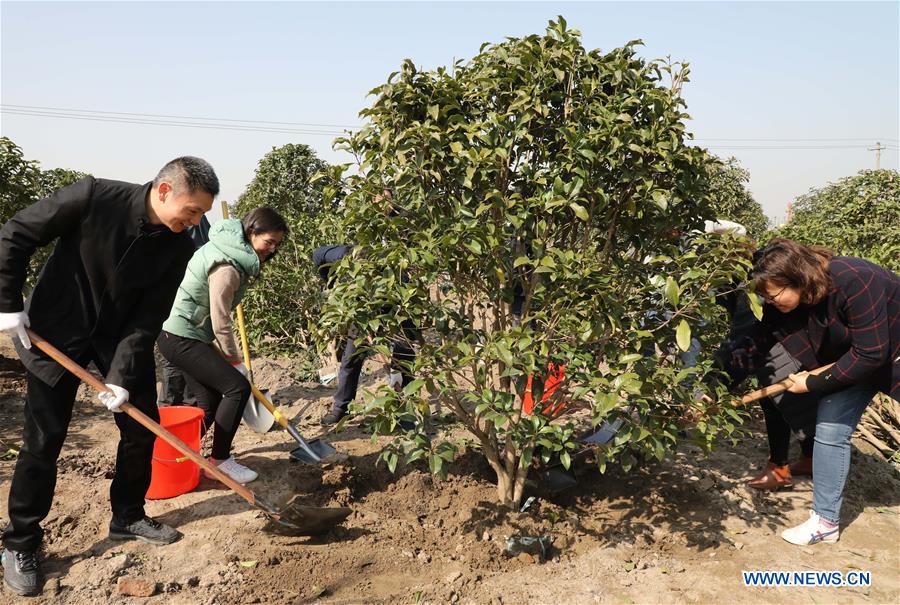 #CHINA-ARBOR DAY-TREE PLANTING (CN)