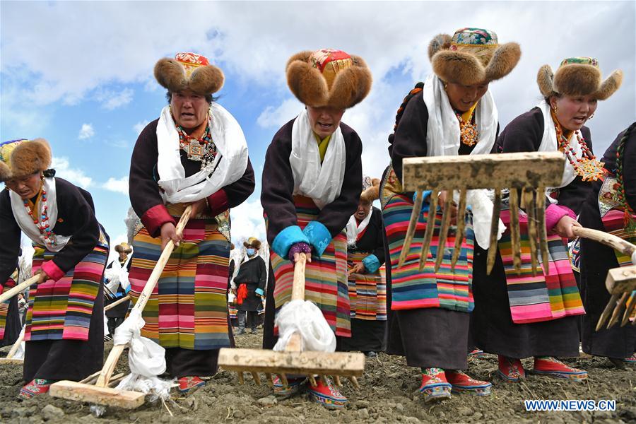 CHINA-TIBET-SPRING PLOWING (CN)