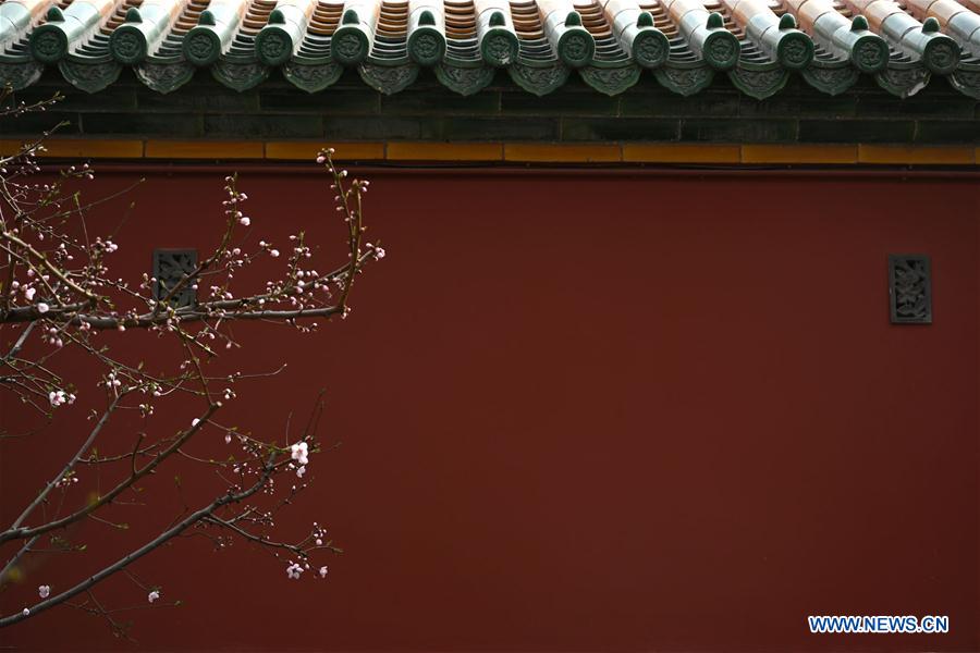 (InPalaceMuseum)CHINA-BEIJING-PALACE MUSEUM-FLOWERS (CN)