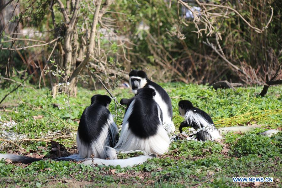 CZECH REPUBLIC-PRAGUE-ZOO