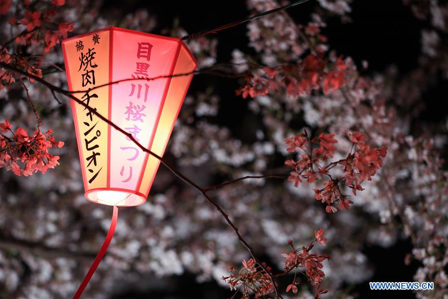 JAPAN-TOKYO-MEGURO RIVER-CHERRY BLOSSOM