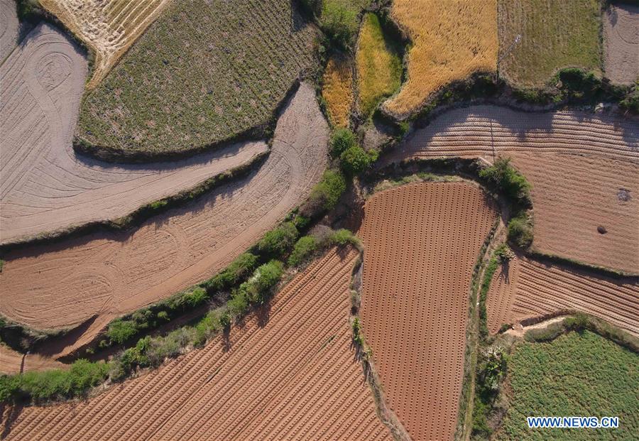 CHINA-YUNNAN-MILE-SCENERY (CN)