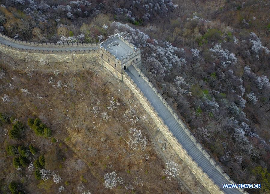 CHINA-BEIJING-GREAT WALL-SCENERY (CN)