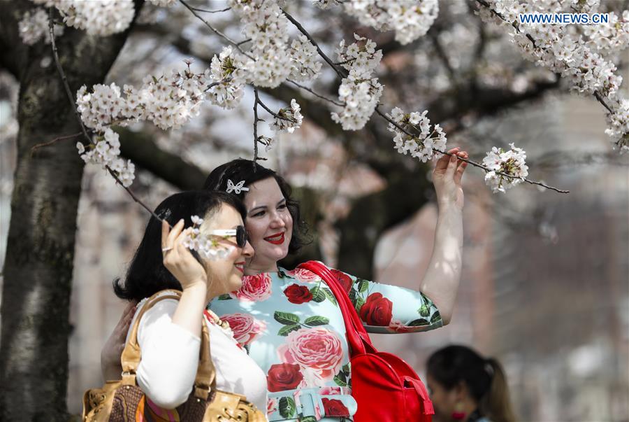 U.S.-NEW YORK-CHERRY BLOSSOM FESTIVAL